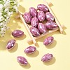 Handmade Porcelain Beads PW-WG559A4-03-5