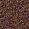 TOHO Round Seed Beads SEED-JPTR15-0514-2