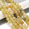 Natural Striped Agate/Banded Agate Beads Strands G-Z060-A01-B20-2