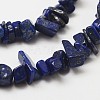 Natural Lapis Lazuli Beads Strands X-G-F328-29-3