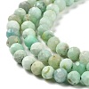 Natural Green Opal Beads Strands G-Z035-A02-03E-4