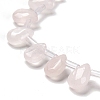 Natural Rose Quartz Beads Strands G-Q167-A05-02-3