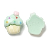 Opaque Resin Imitation Food Decoden Cabochons X-RESI-K027-13-3