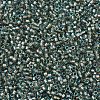 MIYUKI Delica Beads SEED-X0054-DB2379-3
