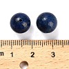 Natural Lapis Lazuli Beads G-C254-A07-10mm-3