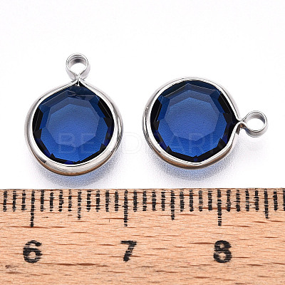 K9 Glass Charms X1-GLAA-T023-37B-06-1