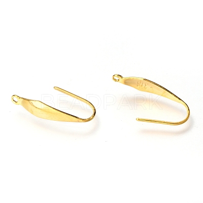 316 Stainless Steel Earring Hooks X-STAS-Z034-10G-1