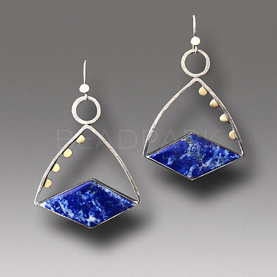 Alloy Enamel Dangle Earrings FS-WG6E131-17-1