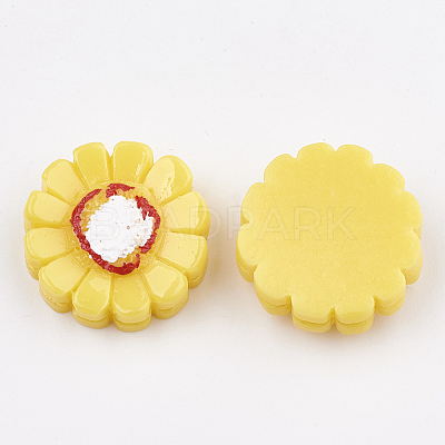 Resin Cabochons CRES-S358-20-1