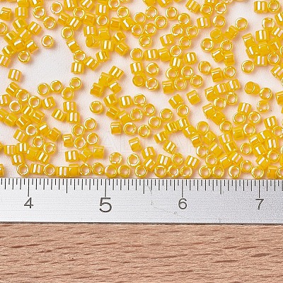 MIYUKI Delica Beads SEED-X0054-DB1572-1
