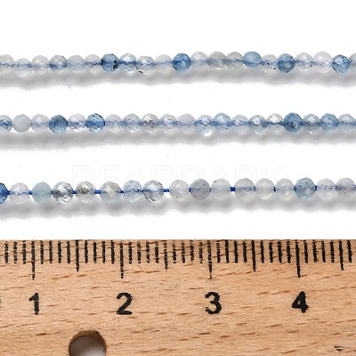 Natural Aquamarine Beads Strands G-RM2025-A17-2mm-1