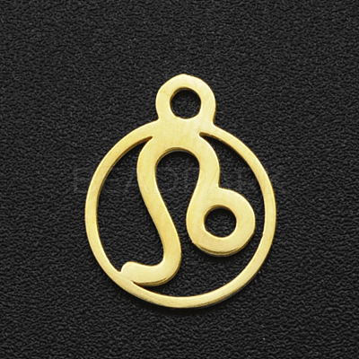 201 Stainless Steel Charms STAS-T014-LA111-5-1