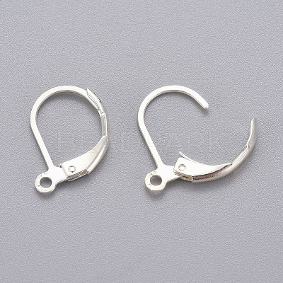 316L Surgical Stainless Steel Leverback Earring Findings X-STAS-E194-03S-1