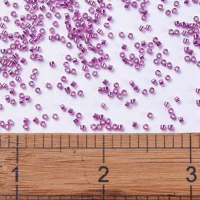 MIYUKI Delica Beads X-SEED-J020-DB0425-1