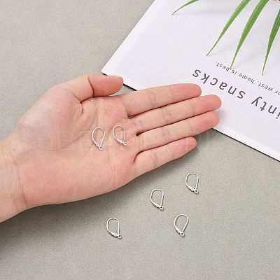 925 Sterling Silver Leverback Earring Findings STER-G027-22S-1