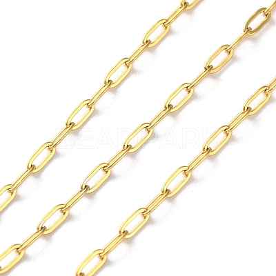 304 Stainless Steel Paperclip Chains CHS-R020-06G-01-1