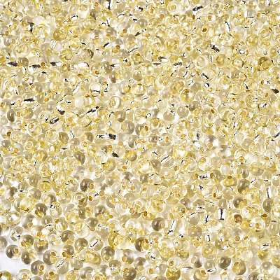 6/0 Baking Paint Transparent Fringe Glass Seed Beads SEED-N006-06B-1