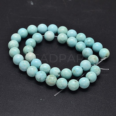 Natural Howlite Beads Strands TURQ-P027-17-10mm-1