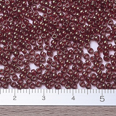 MIYUKI Round Rocailles Beads X-SEED-G007-RR0309-1