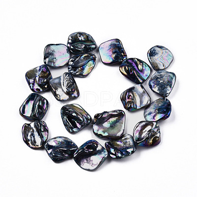 Freshwater Shell Beads Strands SHEL-N026-204-1