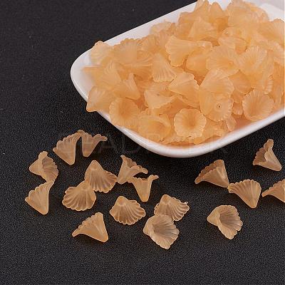 Transparent Acrylic Beads PL622-C06-1