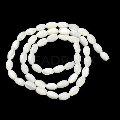 Natural Trochus Shell Beads Strands X-BSHE-E030-02C-1