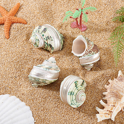 4Pcs Natural Shell FIND-PH0027-49-1