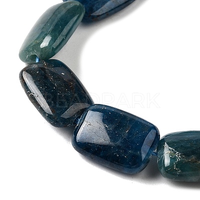 Natural Apatite Beads Strands G-Q026-B01-02-1