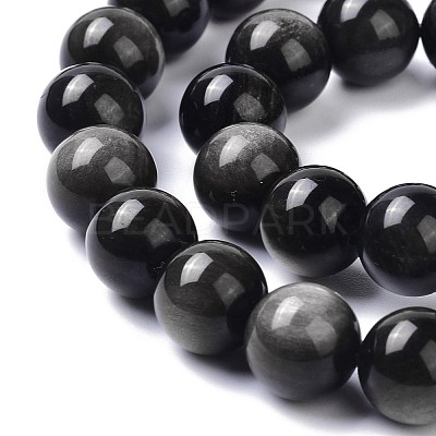 Natural Silver Obsidian Beads Strands G-D083-01A-1