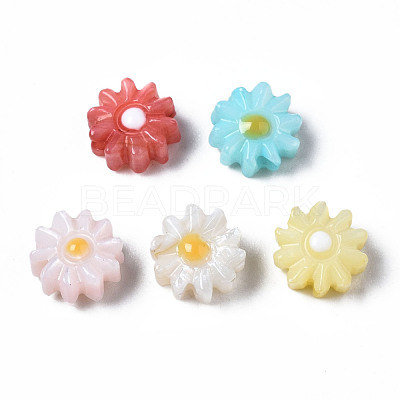 Natural Freshwater Shell Beads SHEL-N003-20A-1