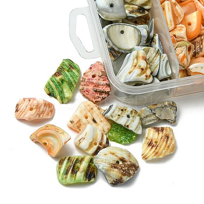 125G 5 Colors Natural Shell Bead Strands BSHE-FS0001-06B-1