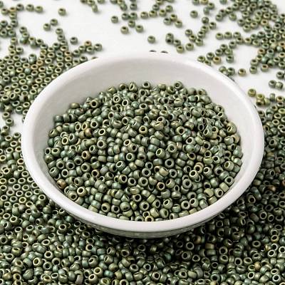 MIYUKI Round Rocailles Beads X-SEED-G008-RR2033-1