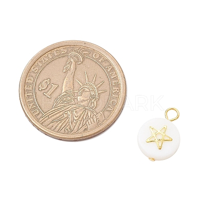 3Pcs 3 Styles Natural Freshwater Shell Flat Round Charms PALLOY-JF04018-02-1