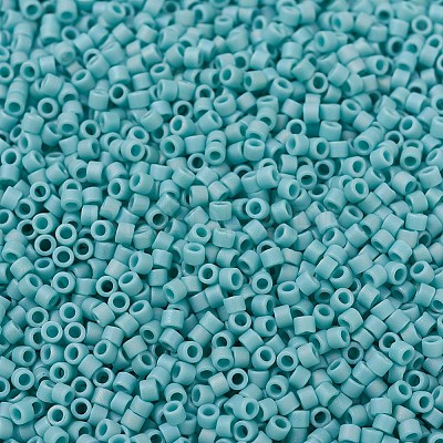 MIYUKI Delica Beads Small X-SEED-J020-DBS0878-1