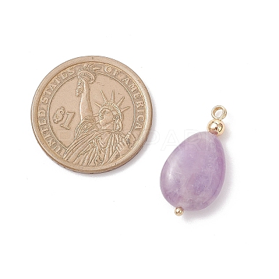 4Pcs 4 Styles Natural Amethyst & Rose Quartz & Green Aventurine & Dyed Quartz Teardrop Charms with Brass Bails PALLOY-JF04268-01-1
