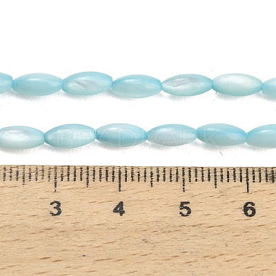 Natural Freshwater Shell Beads Strands SHEL-C010-01C-1