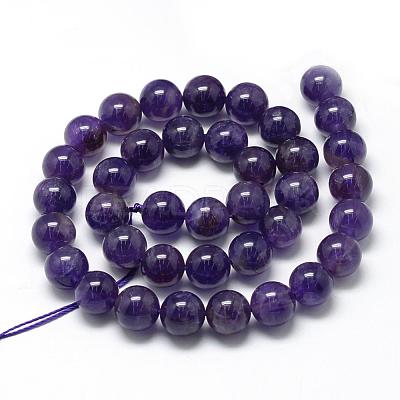 Natural Amethyst Beads Strands G-R446-10mm-21-1