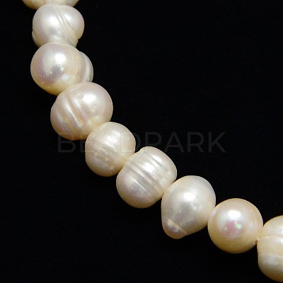 Natural Cultured Freshwater Pearl Beads Strands PEAR-L001-C-08-1