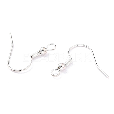 304 Stainless Steel Earring Hooks STAS-T031-17S-1