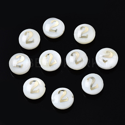Natural Freshwater Shell Beads SHEL-N003-20-02-1