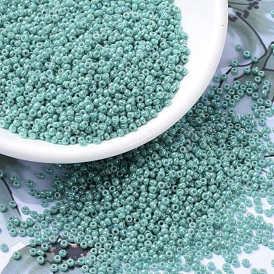 MIYUKI Round Rocailles Beads X-SEED-G007-RR0481-1
