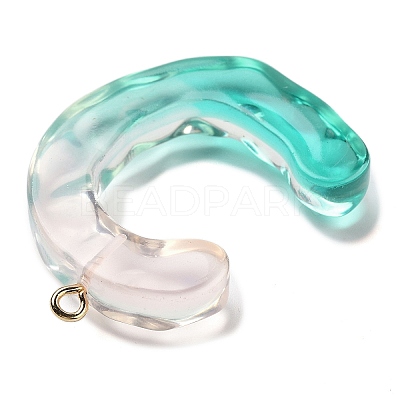 Resin Pendant FIND-Q107-01C-01-1