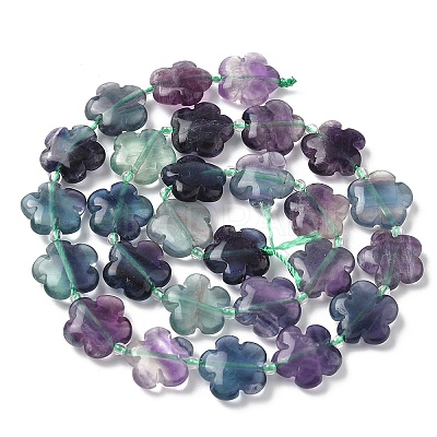 Natural Flower Rainbow Fluorite Beads Strands G-L241B-09-01-1