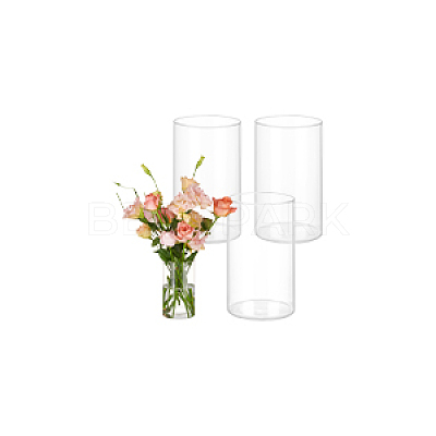Transparent Glass Hydroponic Vase AJEW-WH0348-441B-1