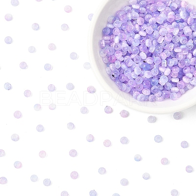 50G Imitation Cat Eye Glass Seed Beads SEED-YW0003-15B-1