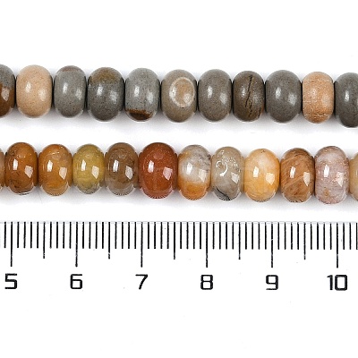Natural Gemstone Beads Strands G-F513-04-1
