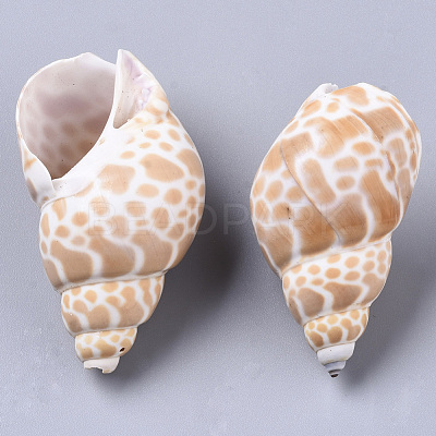 Natural Spiral Shell Beads SSHEL-N035-01-1