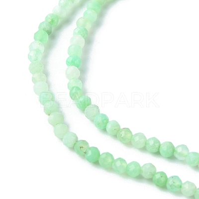 Natural Chrysoprase Beads Strands G-F748-X01-02A-1