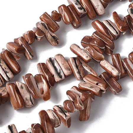 Dyed Natural Trochus Shell Beads Strands SSHEL-C013-09B-1