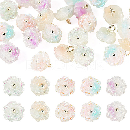 30Pcs 5 Colors Two-tone Resin Charms RESI-TA0005-71-1